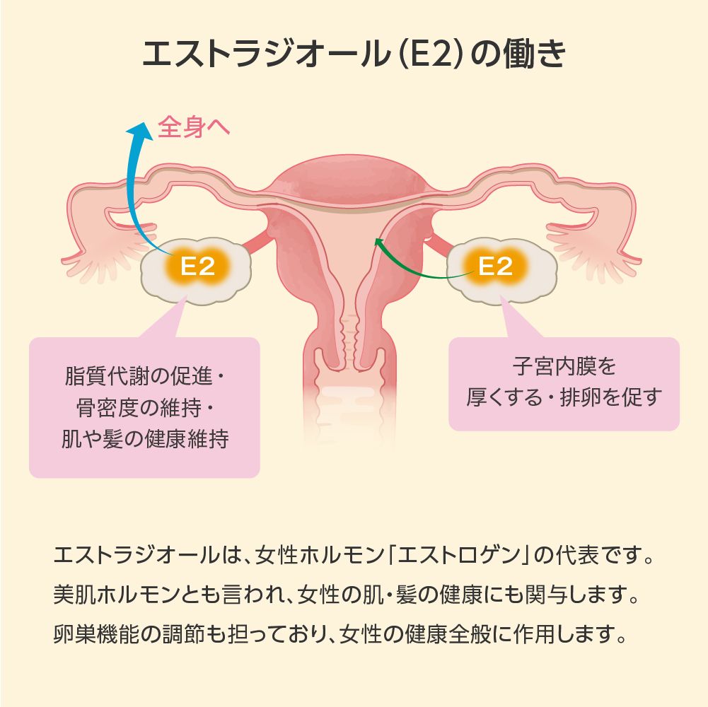 女性更年期検査キット（エストロゲン＜エストラジオール＞・FSH
