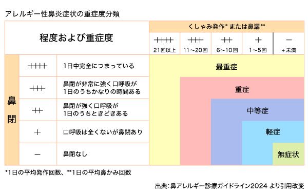 アレルギー性鼻炎症状の重症度分類.jpg